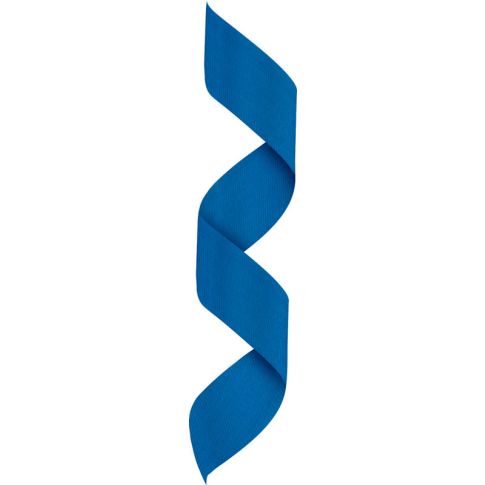 Blue Neck Ribbon w Clip